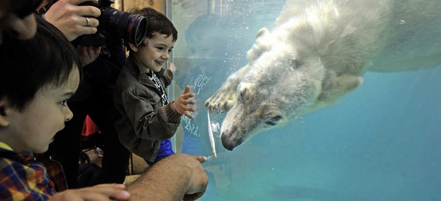 Der Zoo in Mulhouse ist bei Kindern beliebt.   | Foto: AFP