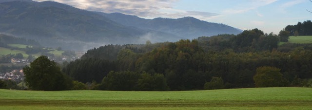 Eine sehr waldreiche Gemeinde ist Elza... ging es  in der Gemeinderatssitzung.   | Foto: Bernd Fackler