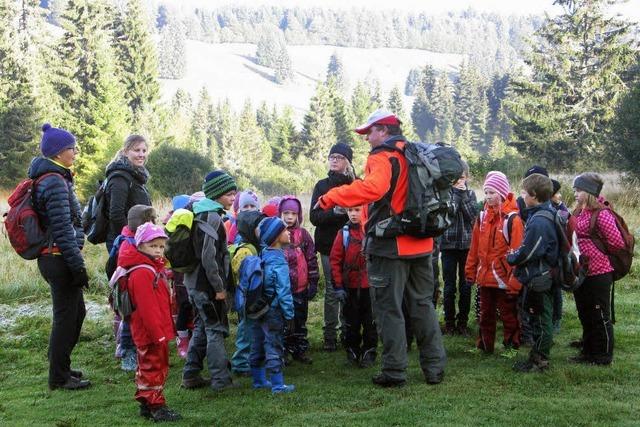 Im Moor gewandert, Bucheckern gegessen, viel gelernt