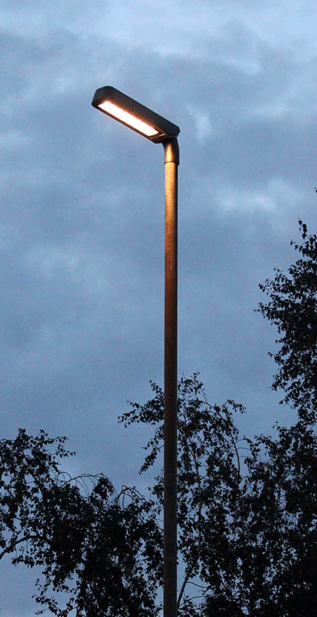 LED-Lampen leuchten bis Herbst 2015 in ganz Steinen.  | Foto: Bertsch