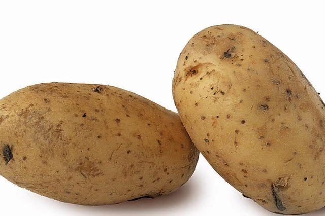 Kartoffel und Krbis – eine richtig runde Sache