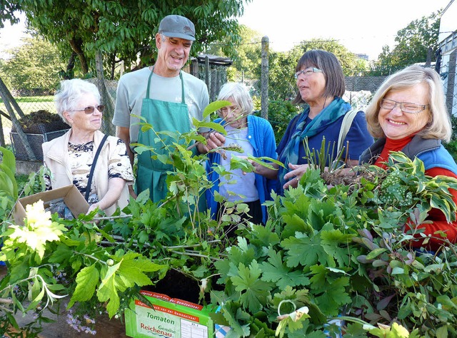 Pflanzentauschtag in Windschlg &#8211...ittendrin Paul Kuhl, der Organisator.   | Foto: Cornelia Weizenecker