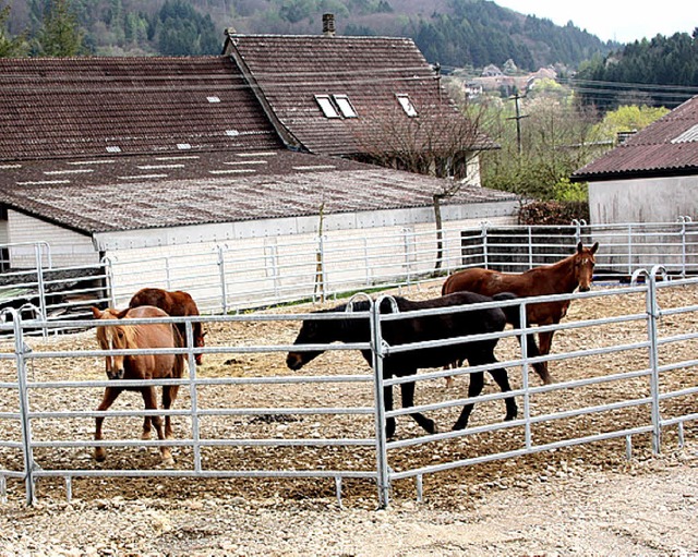 Fr rger sorgt  der Neubau eines Pfer...weichungen vom genehmigten Bauantrag.   | Foto: Archivfoto: Fabry