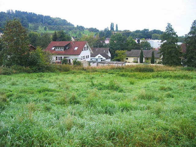 Im Baugebiet  &#8222;Erlenweg&#8220;  ...infamilien- und Doppelhuser  geplant.  | Foto: Ingeborg Grziwa