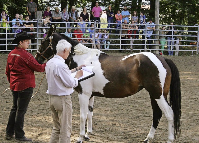 Eine Attraktion war die Prfung zur Aufnahme ins Zuchtbuch. Foto: Ines Bode  | Foto: Ines Bode