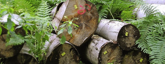 Im  Hiebsjahr 2015 wird auch im Degerf...rst deutlich weniger Holz geschlagen.   | Foto: Archivfoto: Ralf Staub