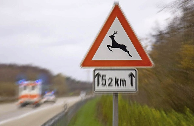 Warnschild Wildwechsel an Straenrand  | Foto: AvD