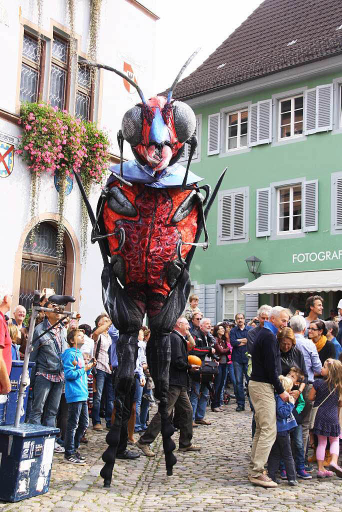 Zauberhafte Fabelwesen und riesige Ameisen hatten sich bei "Fabelhaftes Staufen" auch dieses Jahr wieder unters Volk gemischt.