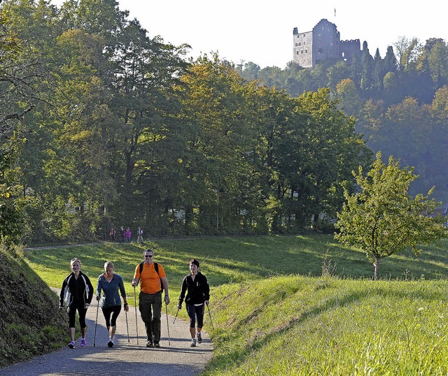 Von der Burg Hohengeroldseck in Seelba...oratswaldlauf nach Diersburg gefhrt.   | Foto: Bettina Schaller