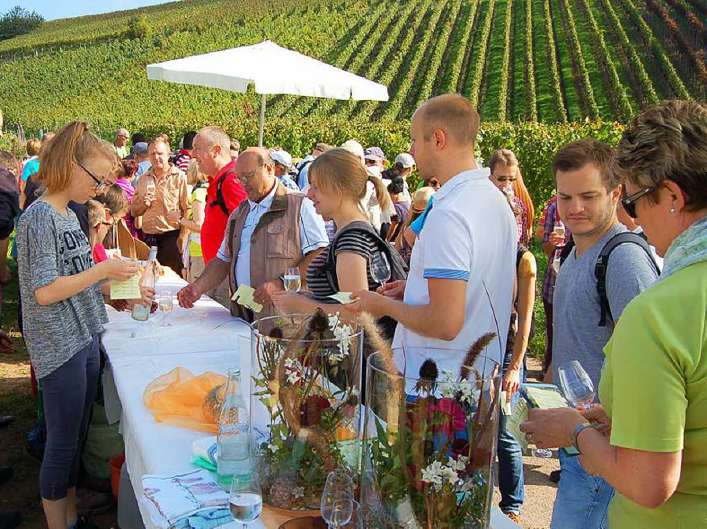 Einblicke zur Weinwanderung durch den Rebberg in Buchholz.