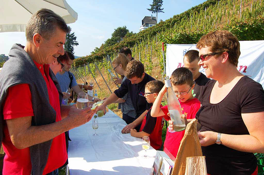 Einblicke zur Weinwanderung durch den Rebberg in Buchholz.