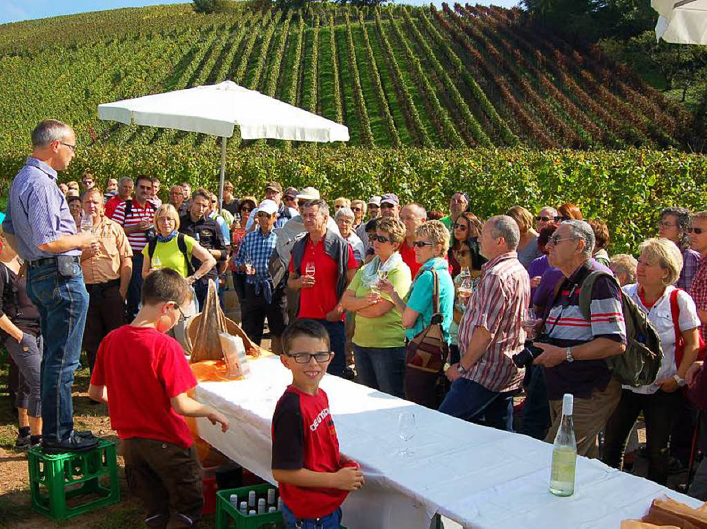 Einblicke zur Weinwanderung durch den Rebberg in Buchholz.