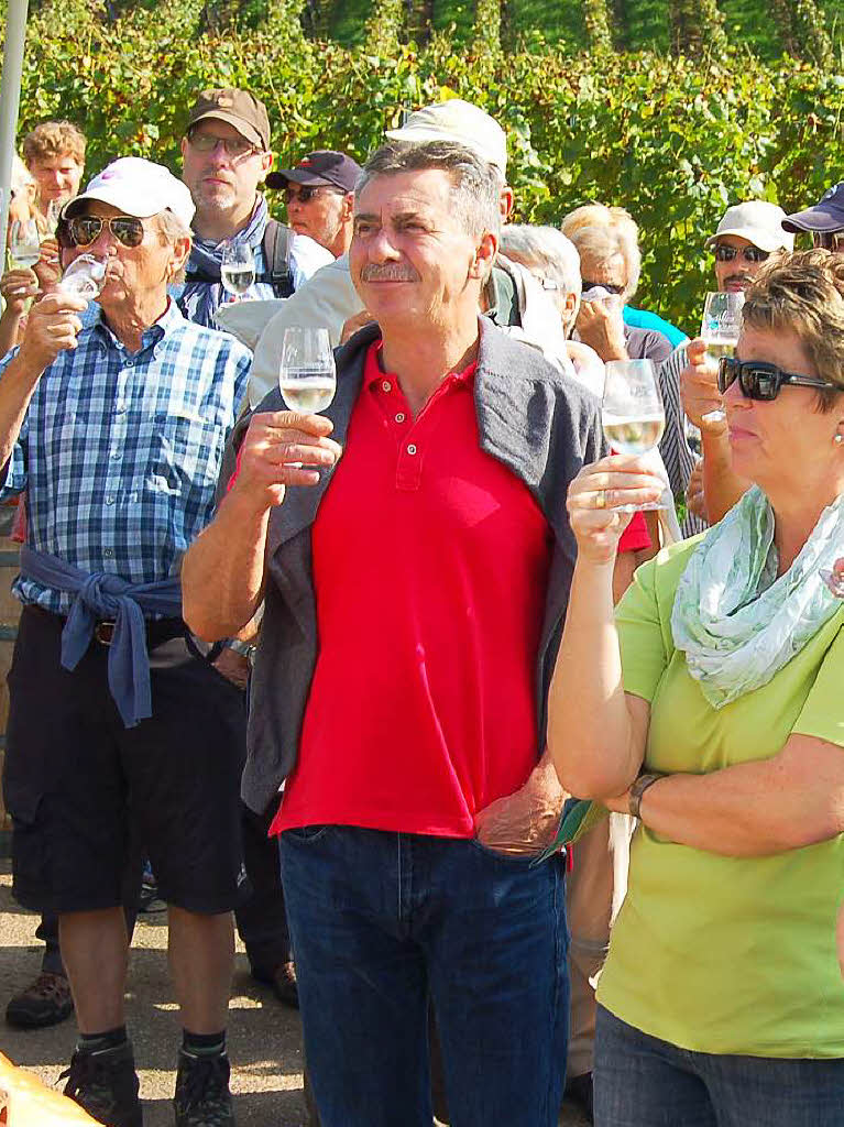 Einblicke zur Weinwanderung durch den Rebberg in Buchholz.