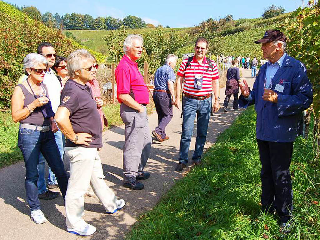 Einblicke zur Weinwanderung durch den Rebberg in Buchholz.