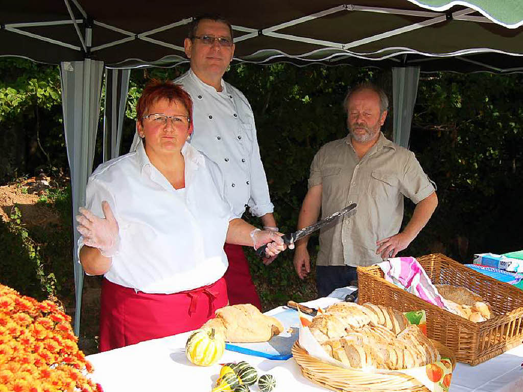 Einblicke zur Weinwanderung durch den Rebberg in Buchholz.