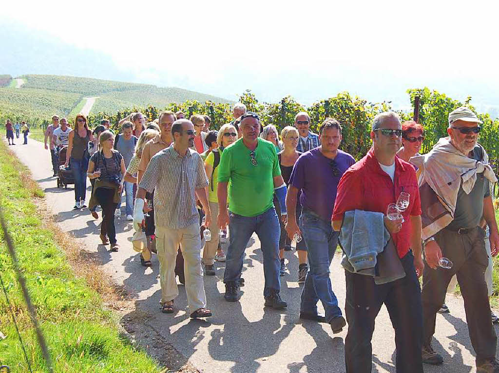 Einblicke zur Weinwanderung durch den Rebberg in Buchholz.