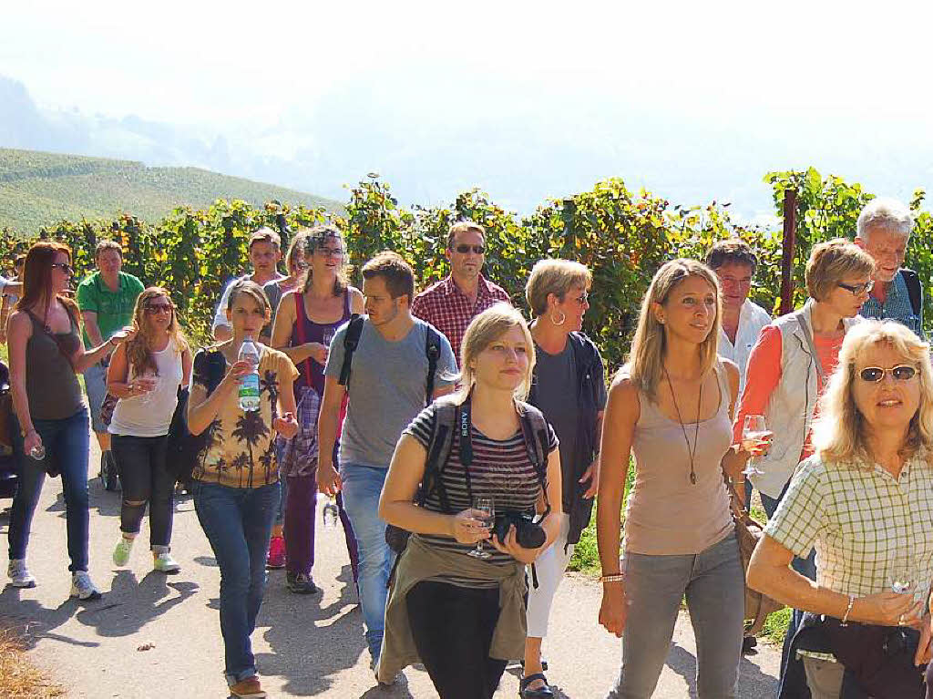 Einblicke zur Weinwanderung durch den Rebberg in Buchholz.