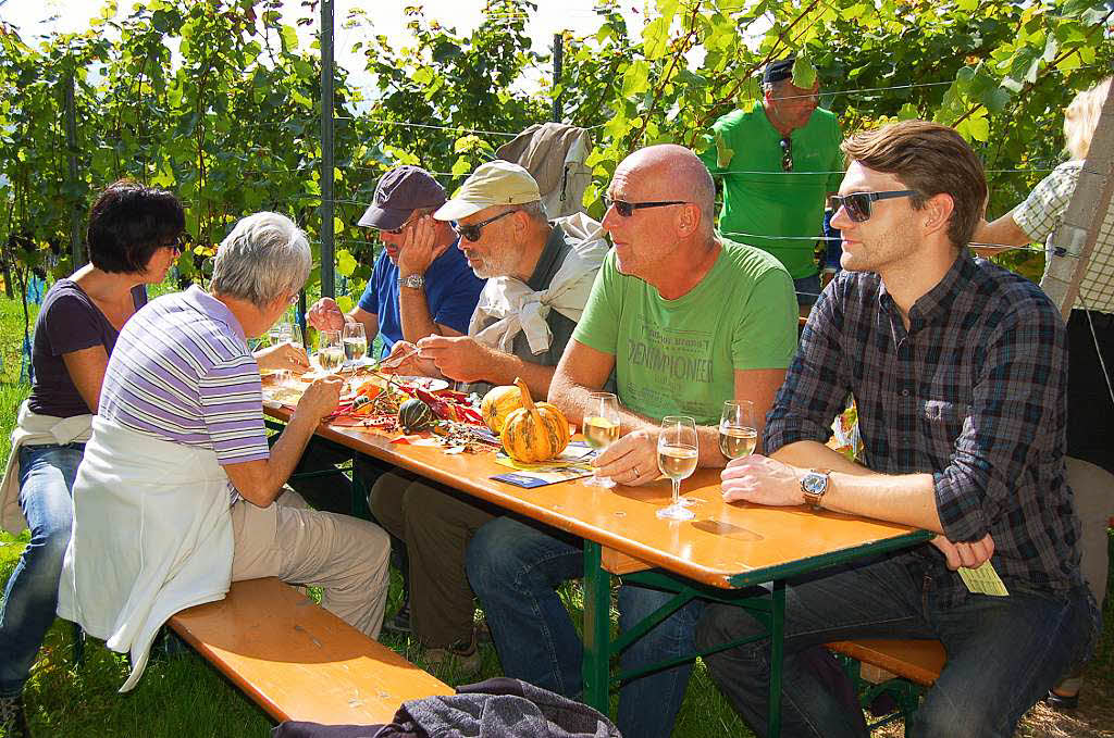 Einblicke zur Weinwanderung durch den Rebberg in Buchholz.