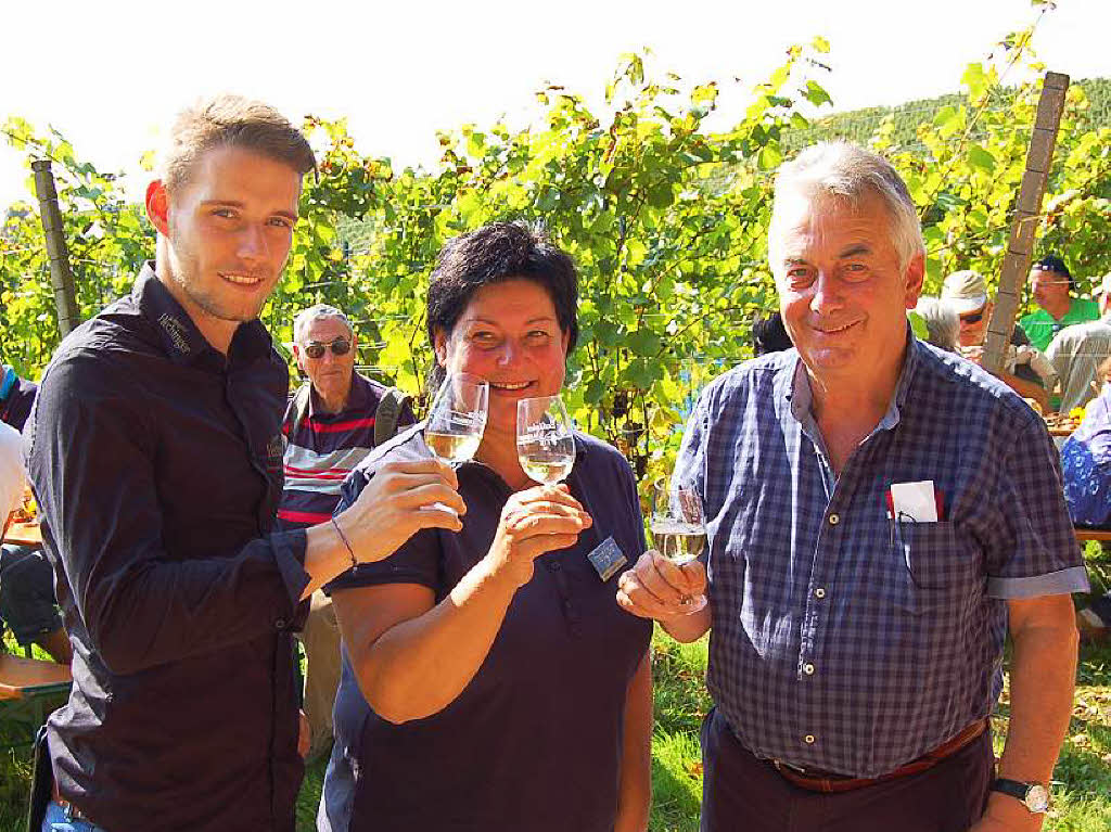 Einblicke zur Weinwanderung durch den Rebberg in Buchholz.