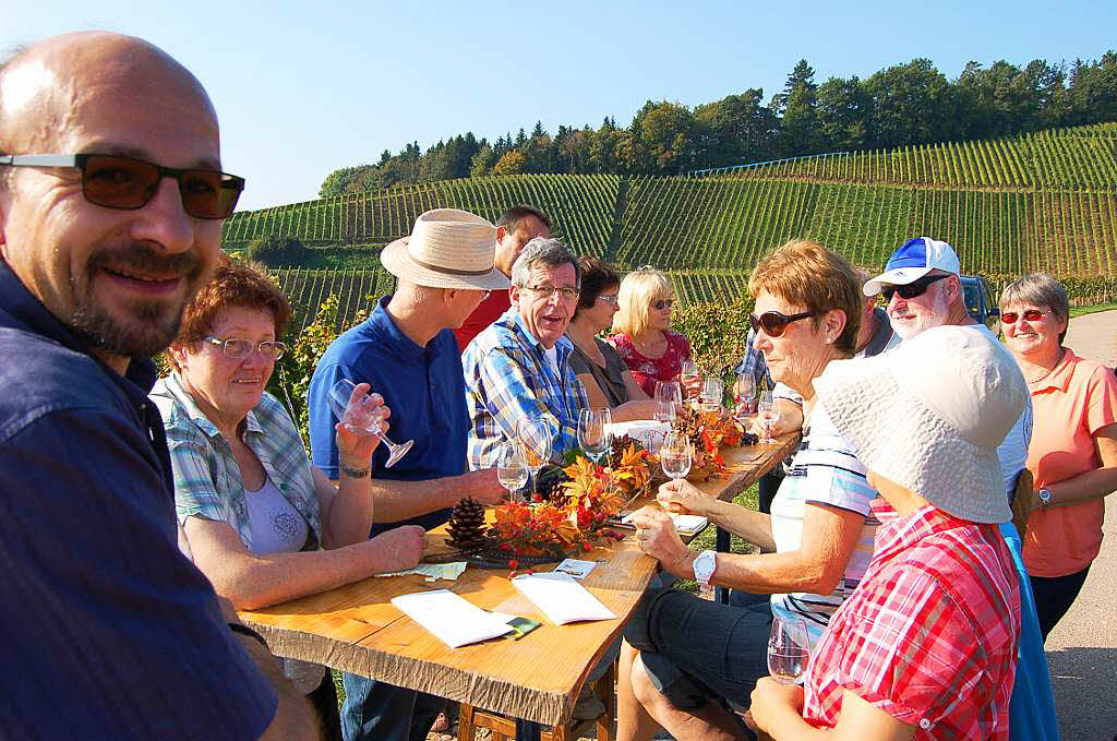 Einblicke zur Weinwanderung durch den Rebberg in Buchholz.