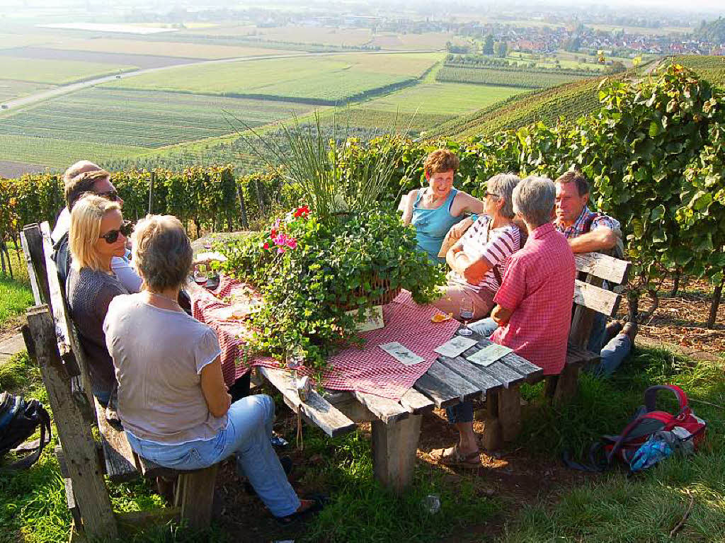 Einblicke zur Weinwanderung durch den Rebberg in Buchholz.