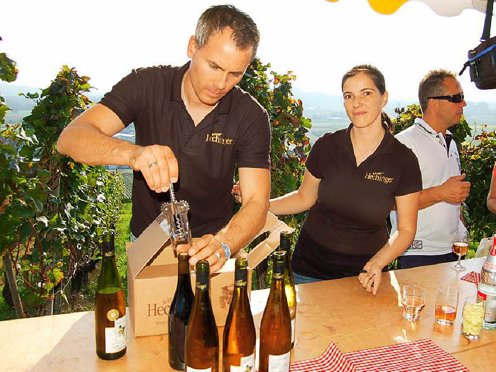 Einblicke zur Weinwanderung durch den Rebberg in Buchholz.