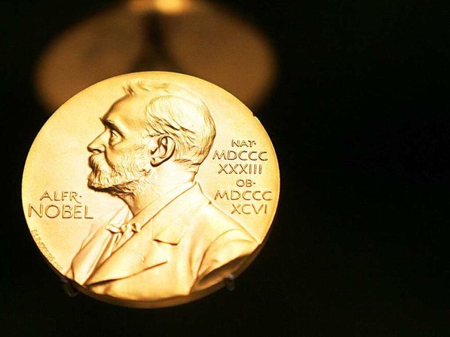 Der Medizin-Nobelpreis geht an drei Hirnforscher.  | Foto: dpa