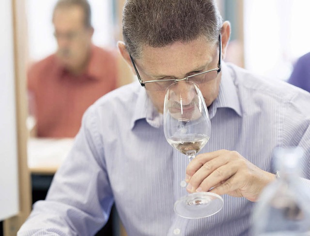 Konzentration auf den Wein im Glas: Ei...er bei der AWC Vienna bei der Arbeit.   | Foto: Ulrich Dobiasch