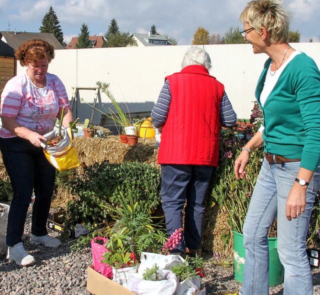 Pflanzen tauschen und mit anderen Gart...brse der Landfrauen in Grafenhausen.   | Foto: Chris Seifried
