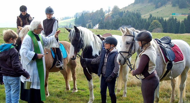 Pfarrer und Tierfreund Peter Altenstet..., darunter Pferde, Alpakas und Hunde.   | Foto: Jger