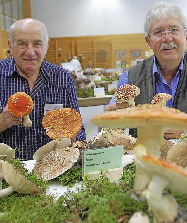 Initiatoren und Organisatoren der Pilz...Heinz Fazis (links) und Rmy Longato.   | Foto: Lauber