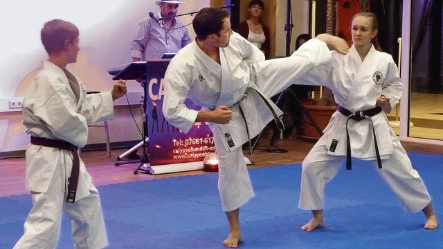 Bei einer Kata-Vorfhrung zeigten  Mit... Karate-Dojo Breisach, was sie knnen.  | Foto: Christine Weirich