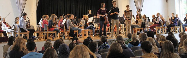 Das Orchester Crescendo gab fr die Waldorfschler auch eine Extra-Einfhrung.   | Foto: Schule