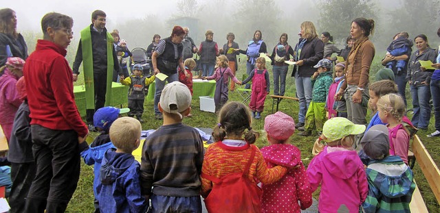 In herbstlich nebeliger Stimmung: Ernt...#8222;Brandacker&#8220; am Waldesrand.  | Foto: Reiner Merz