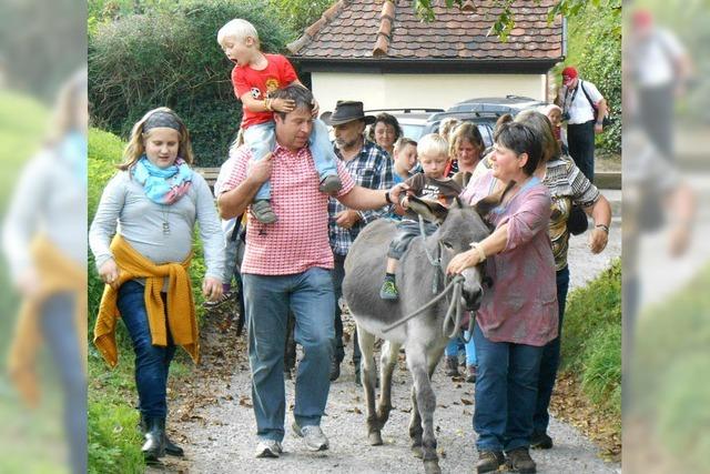 Wandern mit zwei Eseln