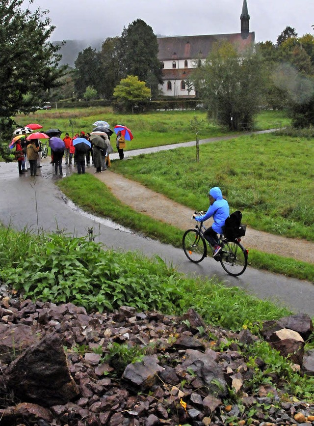 Diskussion im Regen: Ausgleichsmanahm... Eidechsen waren Thema am Spitalberg.   | Foto: hsl