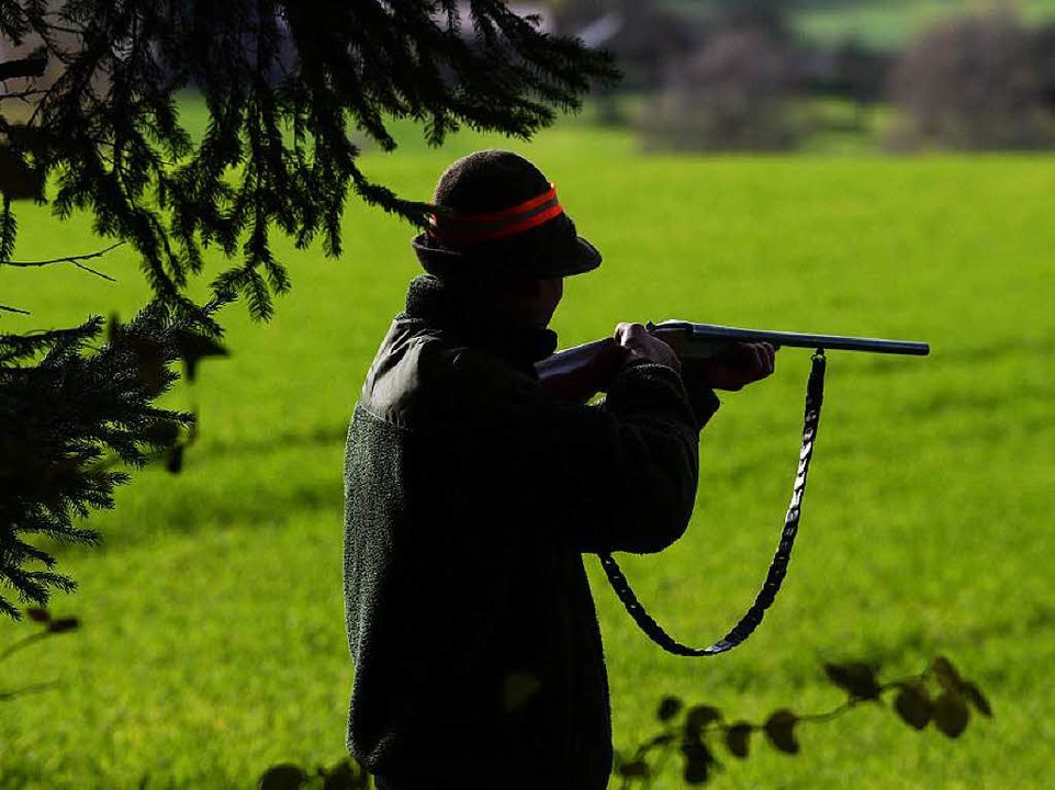 Ein Jäger steht während einer Treibjag...nem Gewehr  schussbereit am Waldrand.   | Foto: dpa