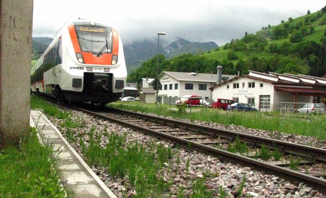 Die Trasse der Mnstertalbahn soll schon bald zur Daten-Autobahn werden.  | Foto: Manfred Lange