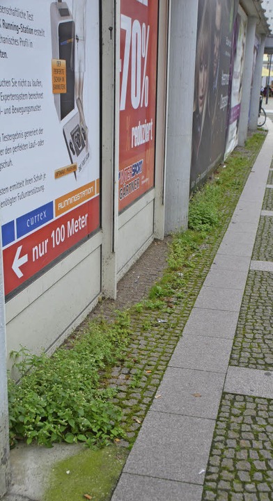 Das ehemalige Kaufhausgebude wchst zu und stinken tut&#39;s auch.  | Foto: Sylvia-Karina  Jahn