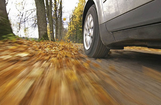 Der Herbst mutet Autofahrern etliche W...reszeit besondere Vorsicht angebracht.  | Foto: Cosmos Direct