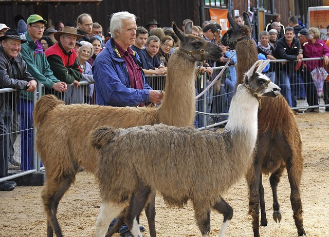 Whrend  der Tiershow standen auch die...ch im Kurs beim aufmerksamen Publikum.  | Foto: Edgar Steinfelder