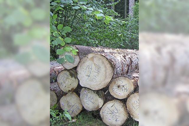 Frhnder Wald bringt mehr Gewinn