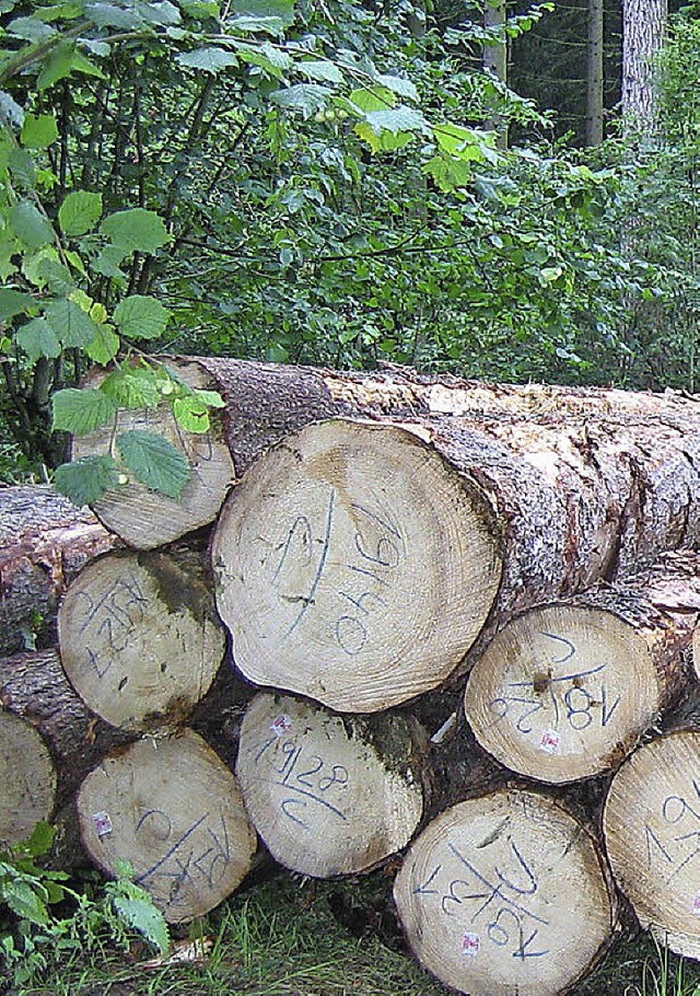 Mehr Gewinn  durch Holzverkauf, das freut Frhnd.   | Foto: Jacob