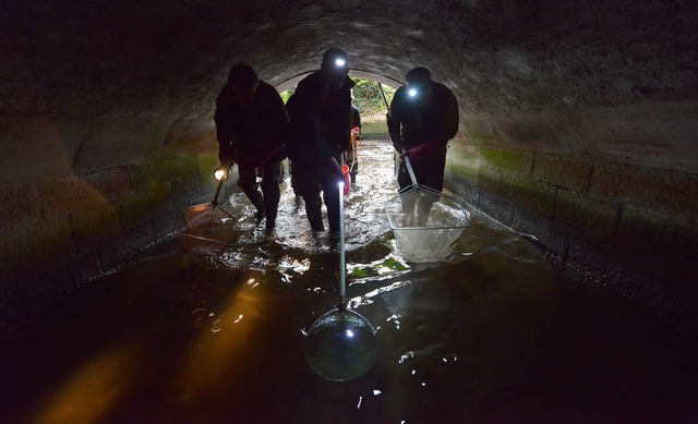 Angeln mit Tunnelblick: Die Sportangle.... Noch fhrt der Gewerbekanal Wasser.   | Foto: Rita Eggstein