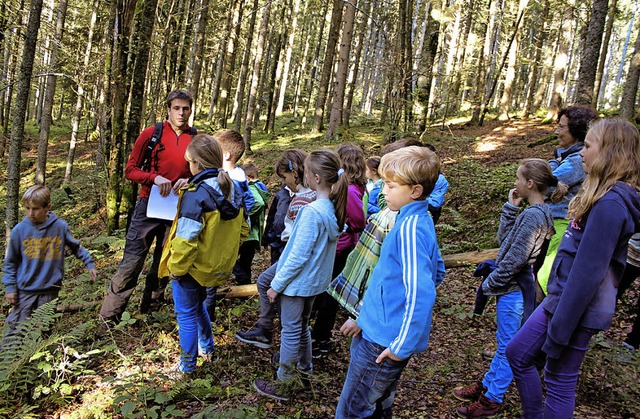 So viel Spannendes und Wissenswertes g...nd Buben als regelrechte Waldexperten.  | Foto: Martha Weishaar