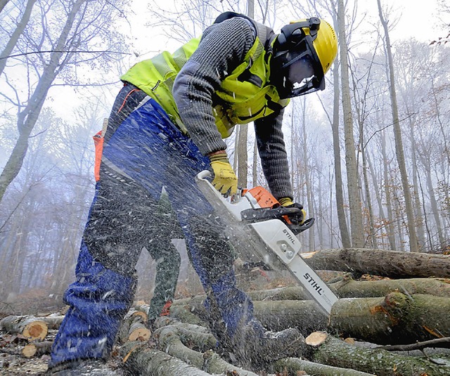 Wlder machen Arbeit.   | Foto: Siegfried Gollrad