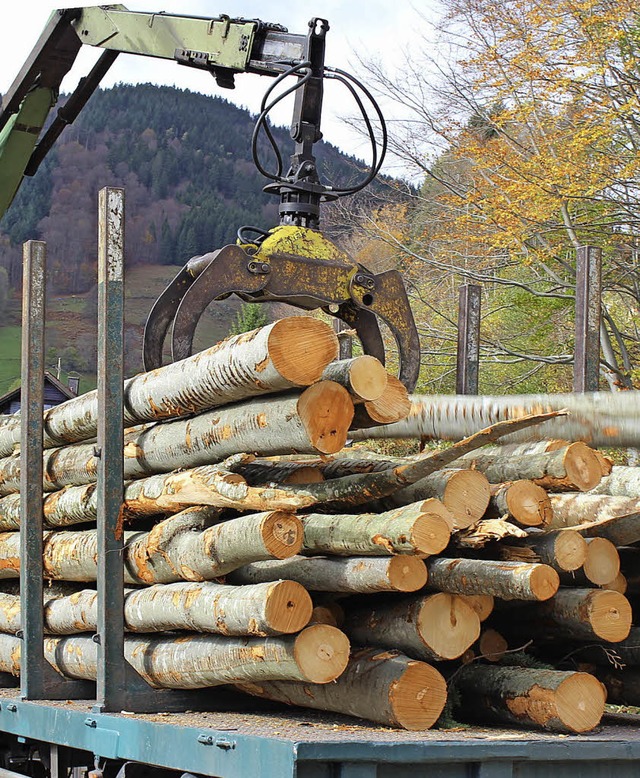 In Steinen wird mit 100000 Euro Gewinn gerechnet.   | Foto: archivbild: jacob