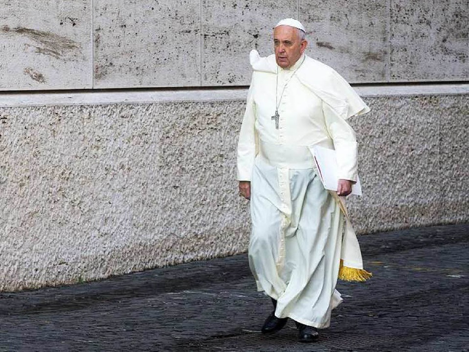 Papst Franziskus geht seinen Weg - aber er wird Begleiter brauchen.  | Foto: dpa