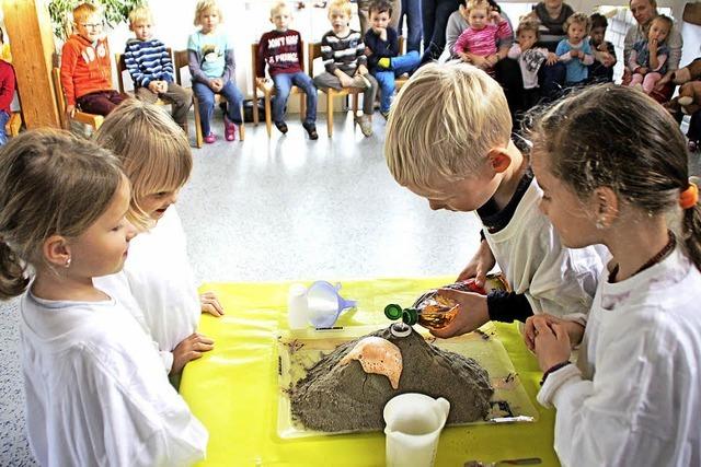 Der Samen, der gelegt wurde, geht nun auf