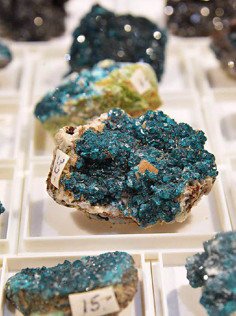 Mineralienfreunde bestaunten die edlen Steine.